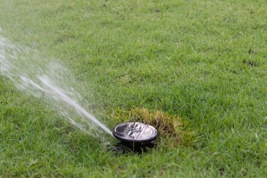 Çim sahada makarası