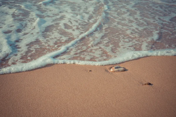 Beach and tropical sea — Stock Photo, Image