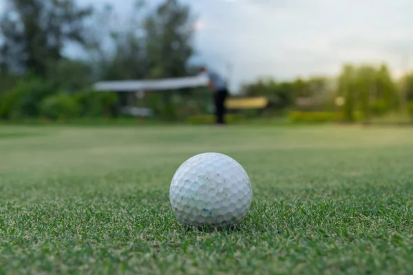 Bola de golfe em verde — Fotografia de Stock