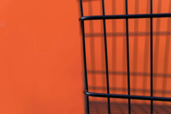 Minimalism style, Shopping cart and orange wall.