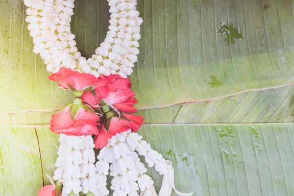 Garland flor de jazmín — Foto de Stock