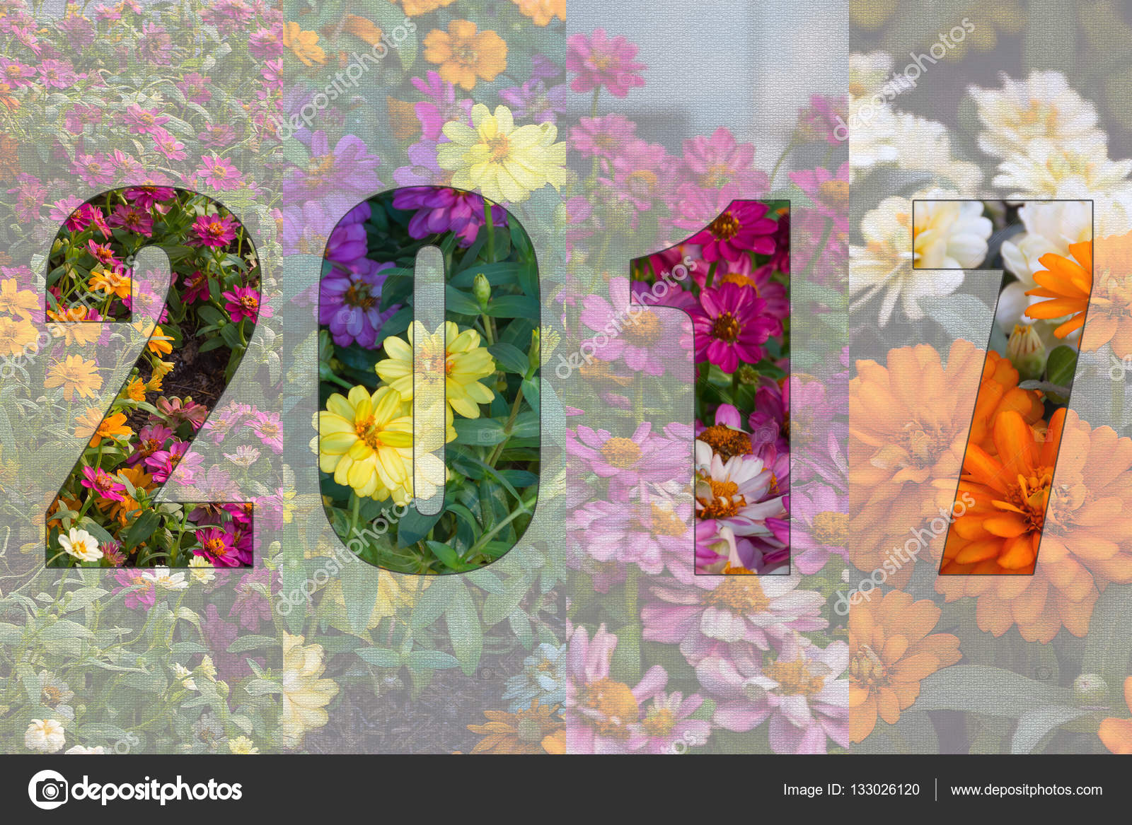 Happy New Year 2017 In Flower Theme Stock Photo Image By C Pongmoji 133026120