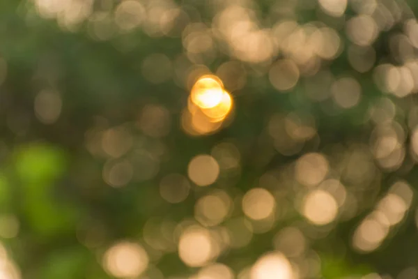 Abstract bokeh of nature — Stock Photo, Image