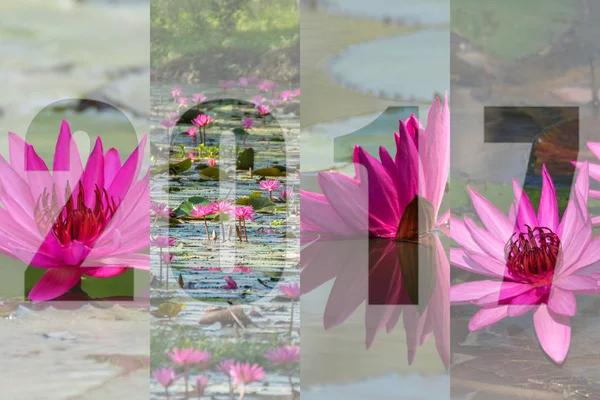 С Новым 2017 годом в цветочном городке Lotus — стоковое фото