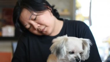 Sandalye uyumak için kadın doziness ile üzerinde çok şirin köpek