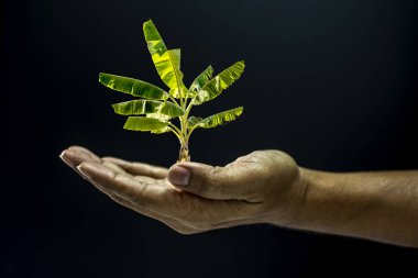 Elini tutarak veya kavramı koyu stili vermek için açık