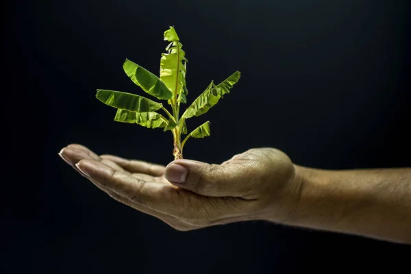 Elini tutarak veya kavramı koyu stili vermek için açık