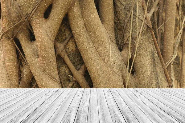 Поверхность текстуры дерева с деревянной террасой — стоковое фото