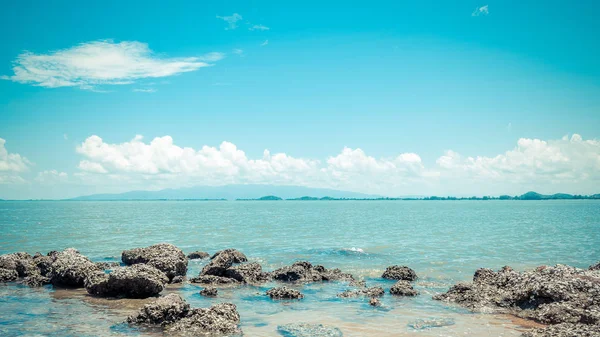 青い空とサンゴ礁の岩ビーチと海とビーチ — ストック写真