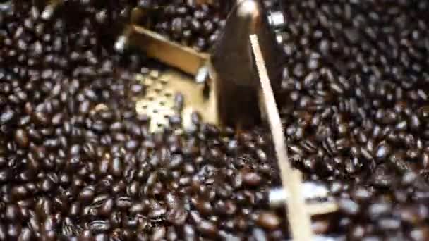Granos de café en tostadora máquina de granos de café — Vídeo de stock