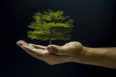 Ağacı tutan el.