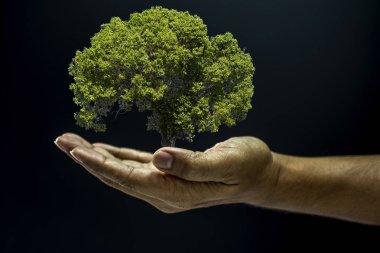 Ağacı tutan el.