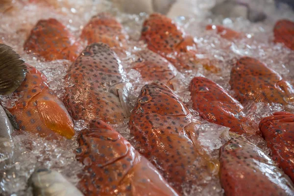 新鮮な生の海の魚介類や魚の市場で魚します。 — ストック写真