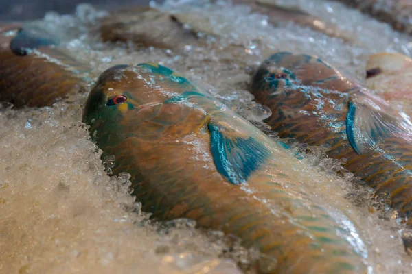 新鮮な生の海の魚介類や魚の市場で魚します。 — ストック写真