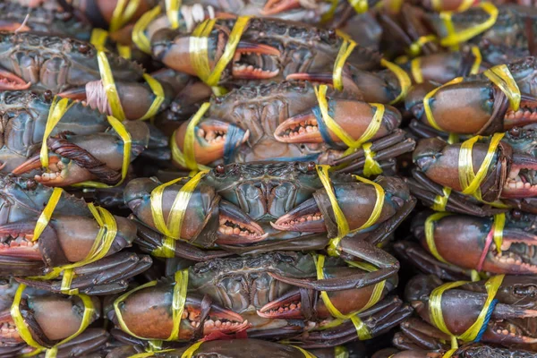 Färsk rå krabba på fiskmarknaden — Stockfoto