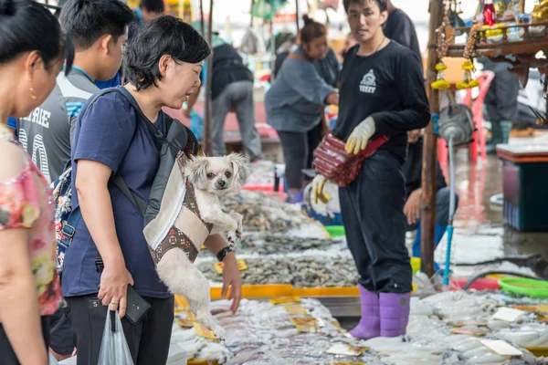 Ang Sila mercado de mariscos con la mujer y el perro — Foto de Stock