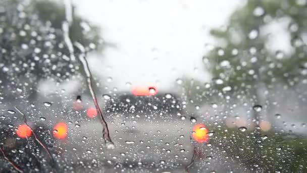 Water druppels regen op de voorruit van de auto — Stockvideo