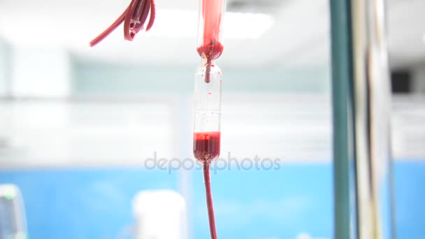 Gota de sangre de la bolsa de sangre para el paciente en el hospital — Vídeos de Stock