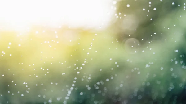 Vatten droppar av regn på bil vindrutan — Stockfoto