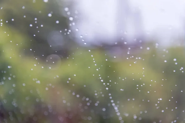 Vatten droppar av regn på bil vindrutan — Stockfoto