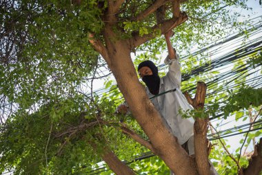 Chop iyi düzenli ve güvenliği için bir ağaç kesmek