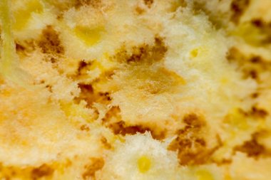 Makro portakal kabuğu arka doku yüzeyinin