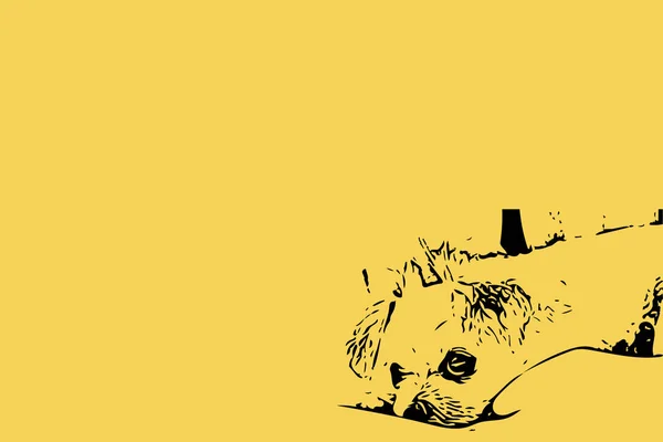 Disegno schizzo di dolce cane su sfondo giallo — Foto Stock