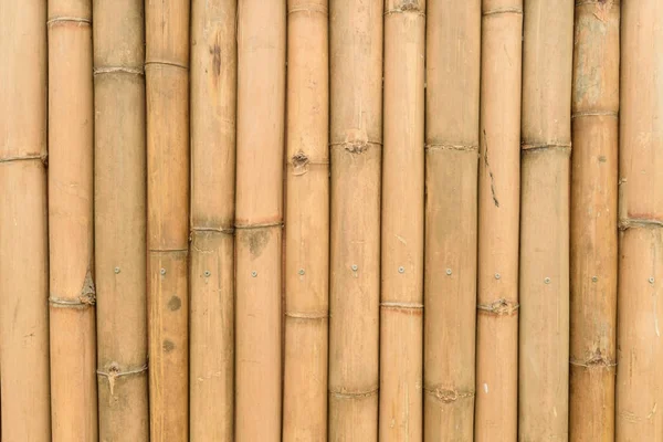 Textura de parede de bambu — Fotografia de Stock