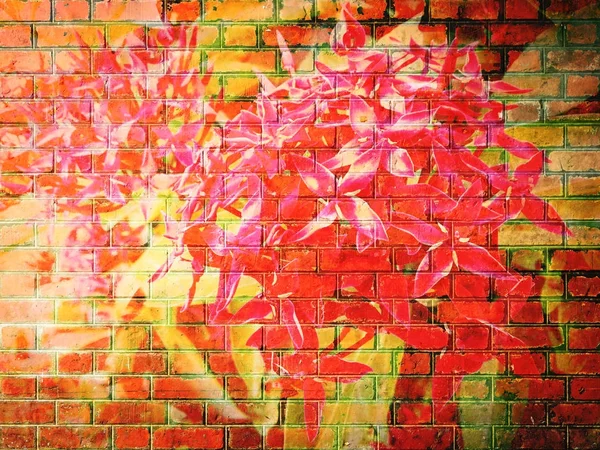MahS çiçek kırmızı tuğla duvar doku — Stok fotoğraf