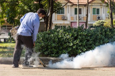Korumak virüs için Ddt spreyi sivrisinek kill sisleme