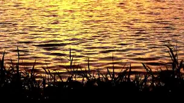 Puesta de sol en la hora de la tarde y ola de lago — Vídeos de Stock