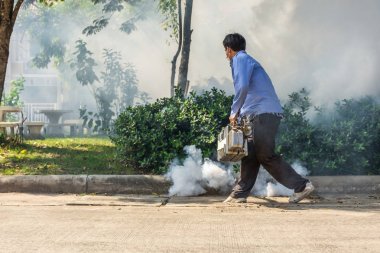 Korumak virüs için Ddt spreyi sivrisinek kill sisleme