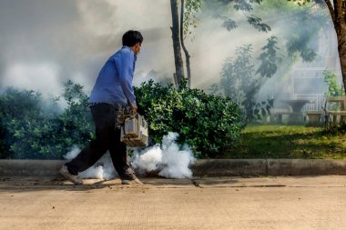 Korumak virüs için Ddt spreyi sivrisinek kill sisleme