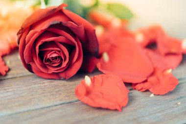 Sevgililer günü içinde ahşap zemin üzerinde kırmızı gül çiçek