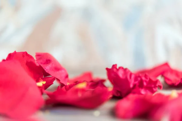 Rosa roja en el suelo de madera en San Valentín —  Fotos de Stock