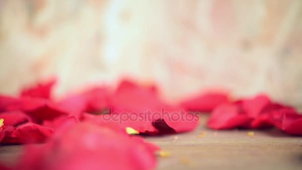 Růžové růže květ příroda krásné květiny ze zahrady a petal červený květ růže na dřevěné podlaze s kopie prostoru v den svatého Valentýna, svatba nebo romantické lásky konceptu