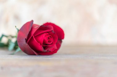 Sevgililer günü içinde ahşap zemin üzerinde kırmızı gül çiçek