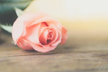 Ahşap zemin Sevgililer günü üzerinde pembe Gül çiçek