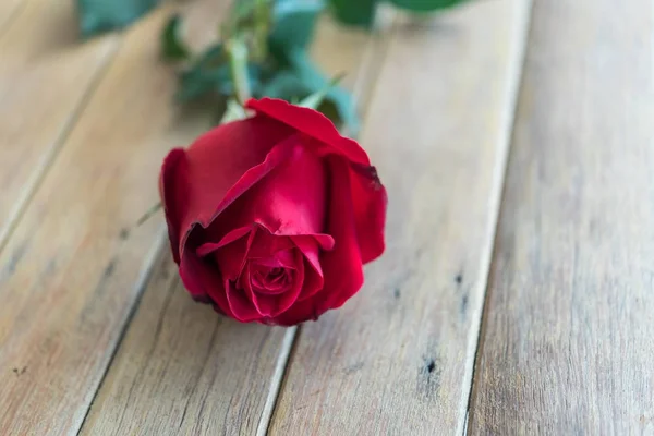 Röd ros blomma på trägolv i alla hjärtans dag — Stockfoto