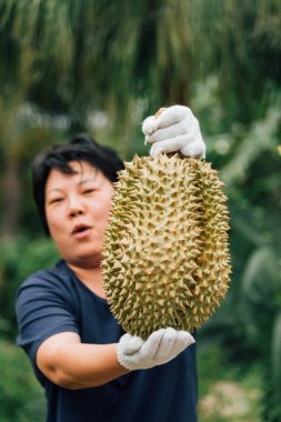 Durian tutan Asyalı çiftçi meyvelerin kralıdır.