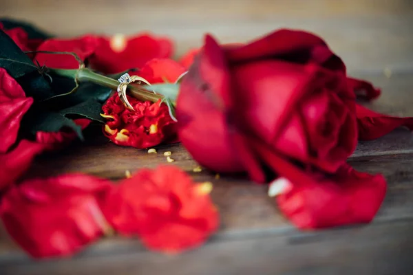 Rote Rosenblüte auf Holzboden zum Valentinstag — Stockfoto