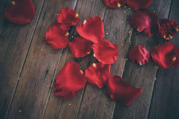 Pétalo Rosa Roja Naturaleza Hermosas Flores Del Jardín Para San —  Fotos de Stock