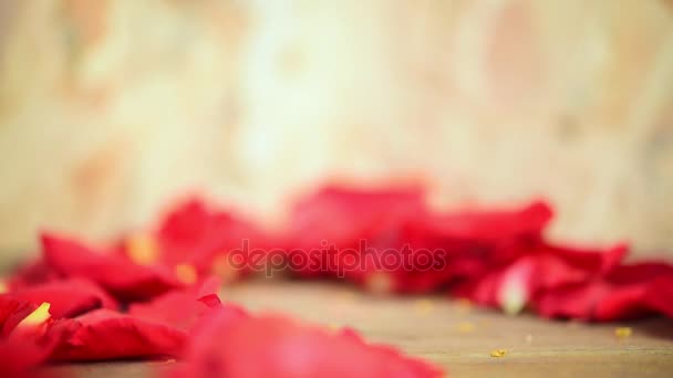 红玫瑰花自然美丽的花朵从花园和花瓣的红色玫瑰花为情人在木地板上的情人节 婚礼或浪漫情人节的爱情概念 — 图库视频影像
