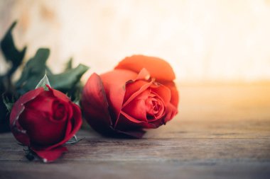 Sevgililer günü içinde ahşap zemin üzerinde kırmızı gül çiçek