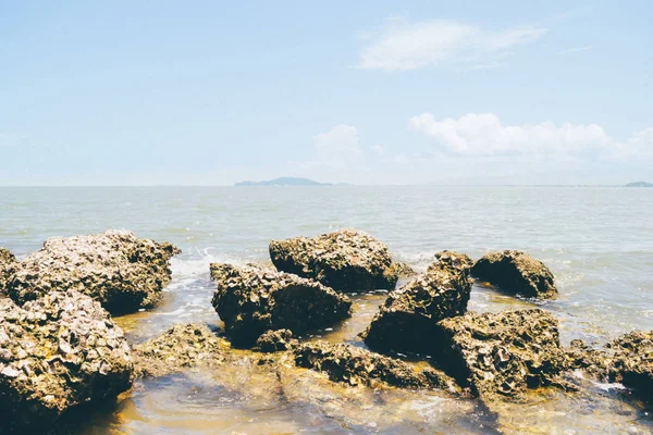 ビーチとサンゴ礁の岩のビーチと海の風景 — ストック写真
