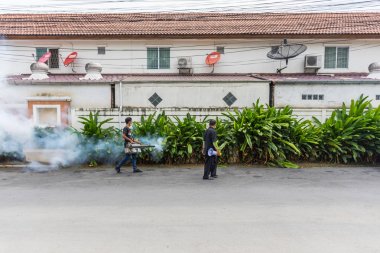 Korumak virüs için Ddt spreyi sivrisinek kill sisleme