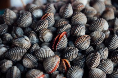 Taze çiğ deniz tarak istiridye deniz ürünleri Market