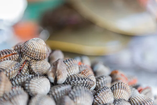 Cockles di mare crudo fresco vongole al mercato dei frutti di mare — Foto Stock