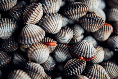 Taze çiğ deniz tarak istiridye deniz ürünleri Market
