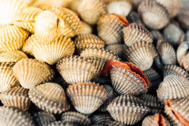 Taze çiğ deniz tarak istiridye deniz ürünleri Market